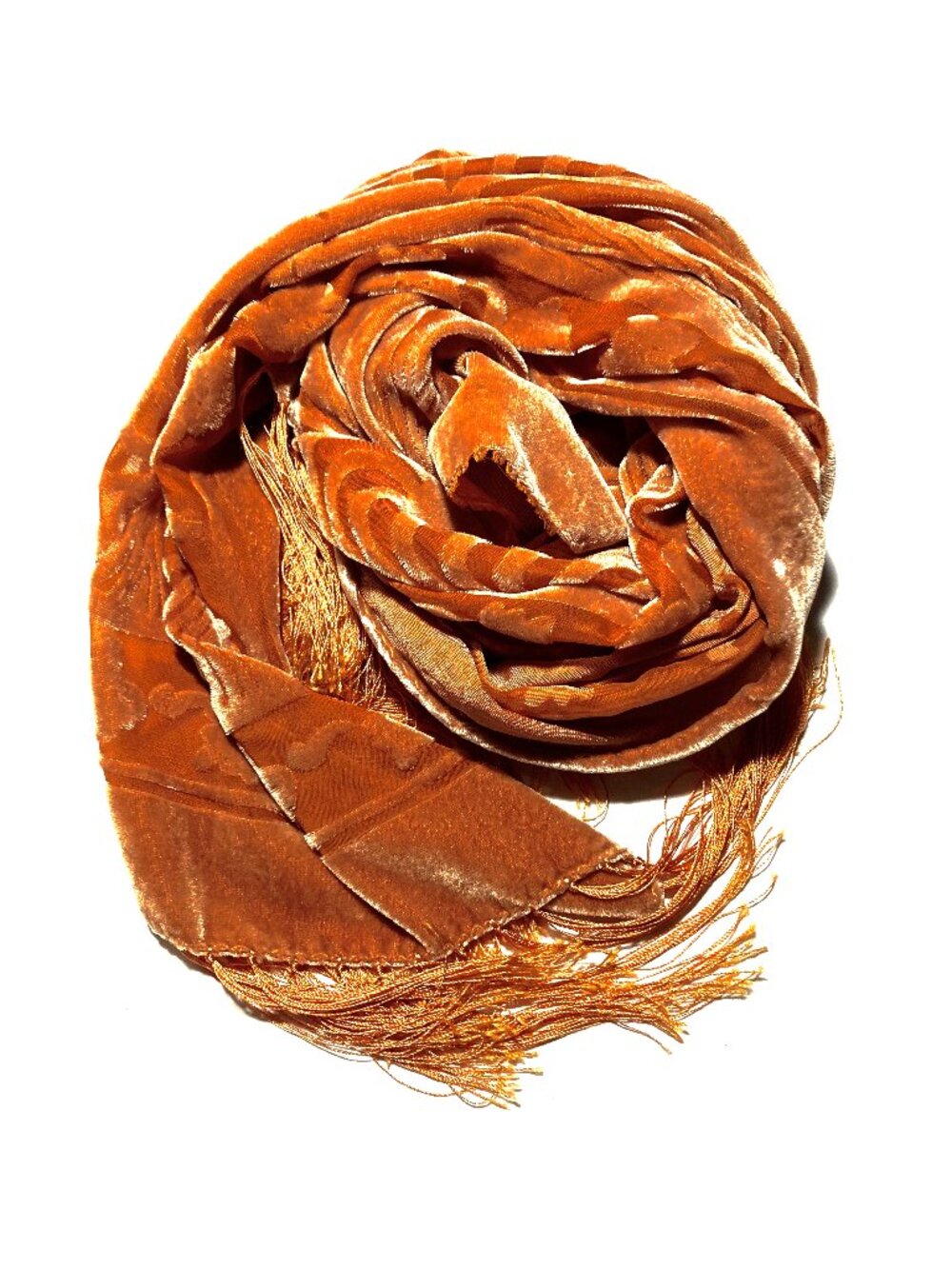 Velvet Burn-out Oblong Scarf with Fringe